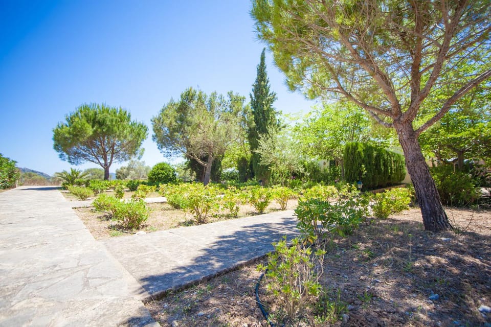Garden view