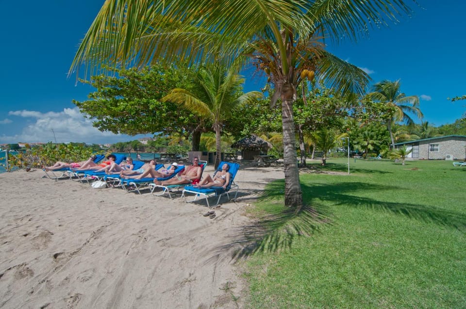 Beach, On site, Sea view, group of guests