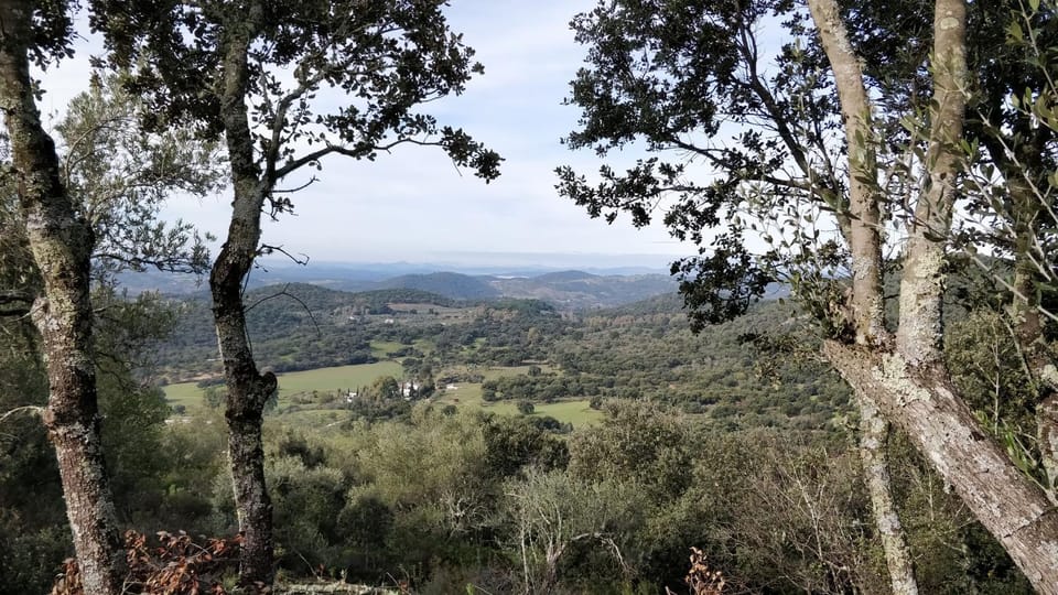 Las Navezuelas Country House in Sierra Norte de Sevilla