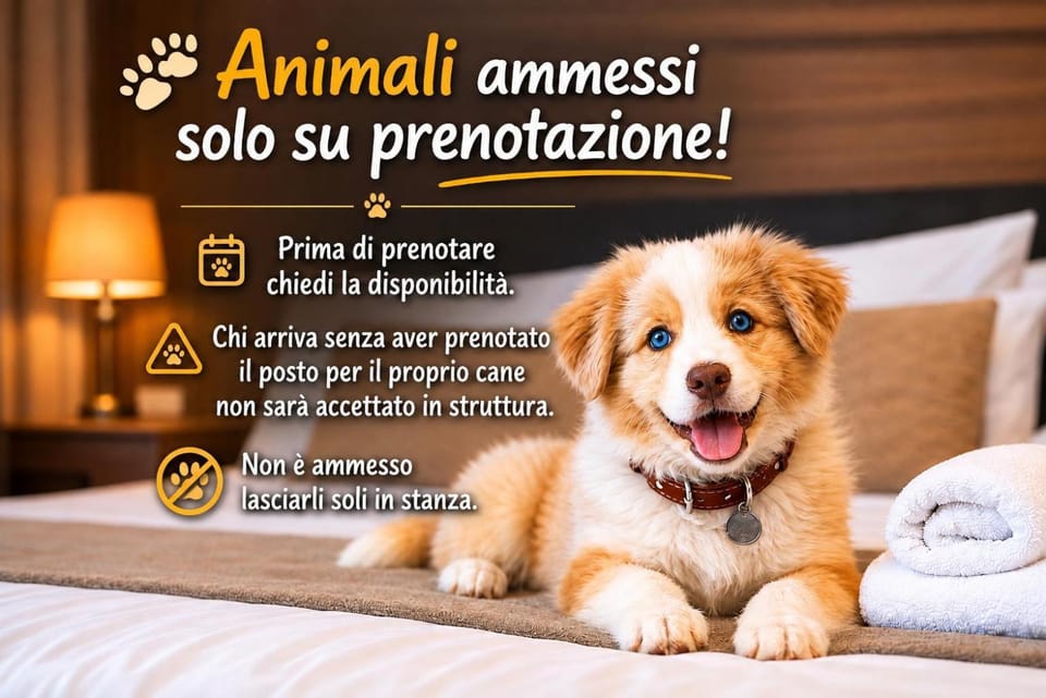Animals, Animals, Animals