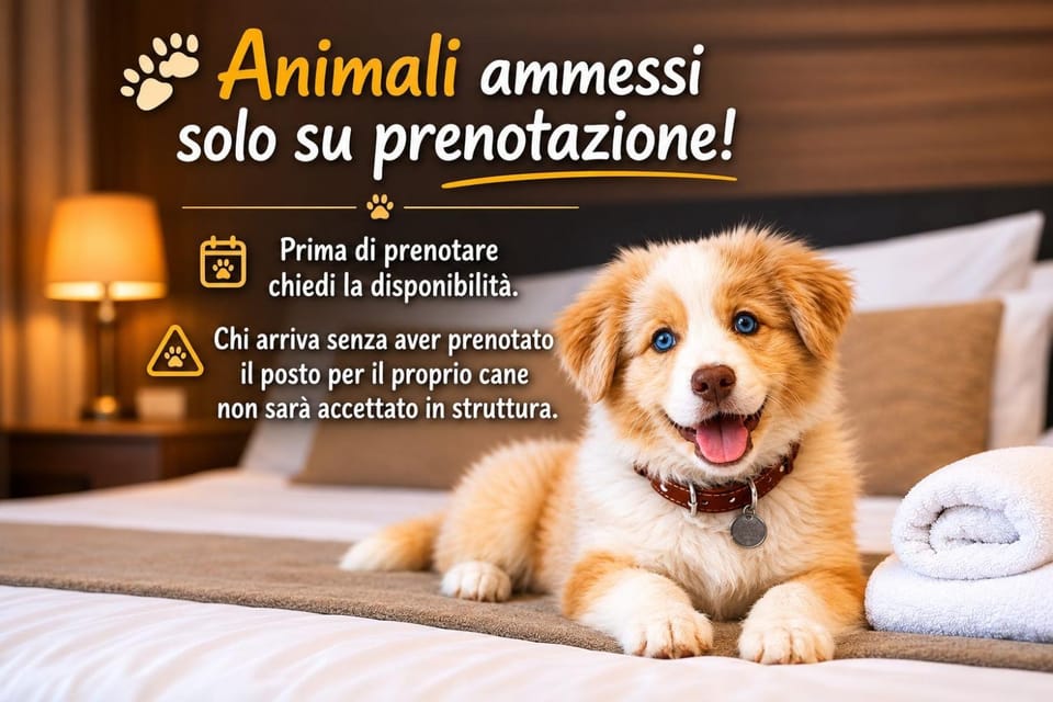 Animals