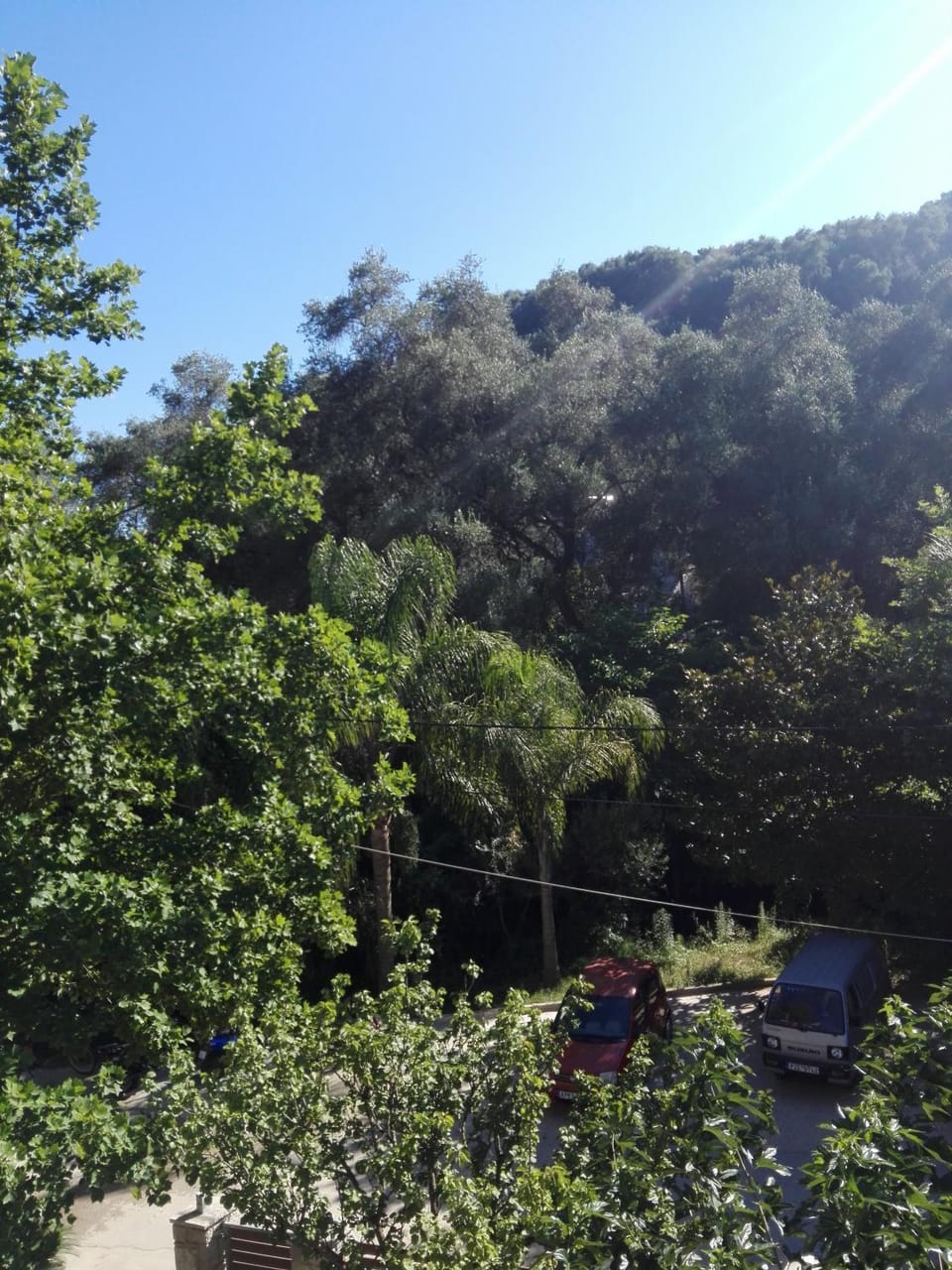 Natural landscape