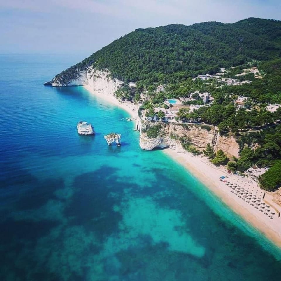 Off site, Bird's eye view