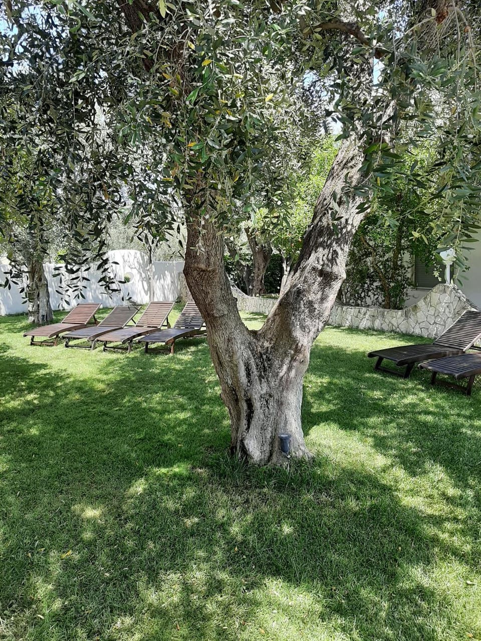 Garden, On site, Garden view