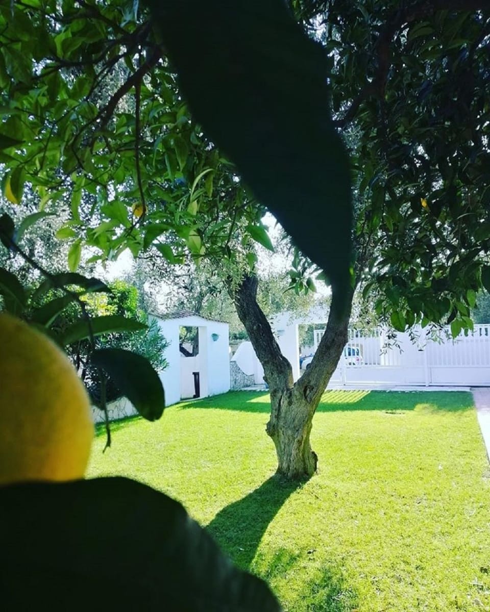 Garden, On site, Garden view