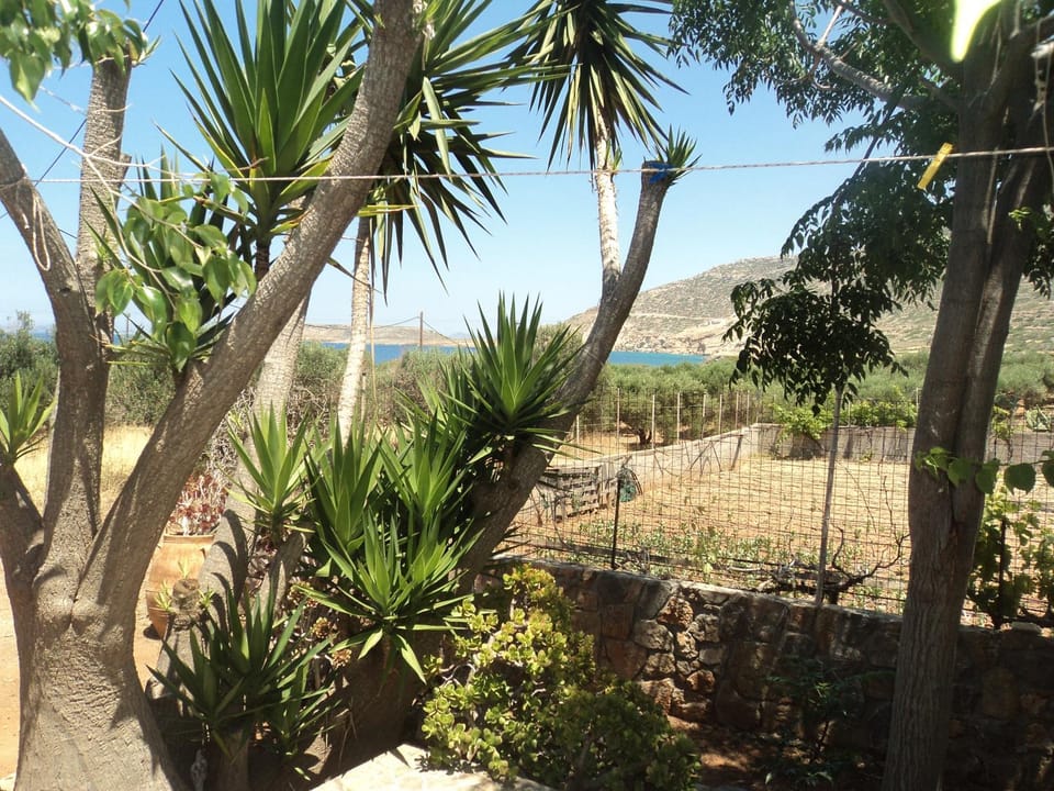 Garden, Sea view