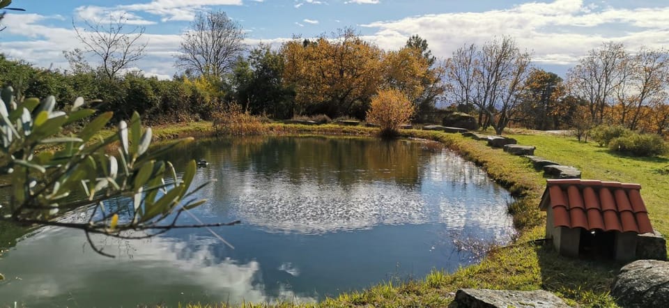 Off site, Natural landscape, Lake view