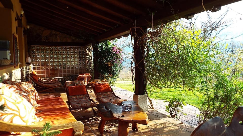 Patio, Garden, Balcony/Terrace
