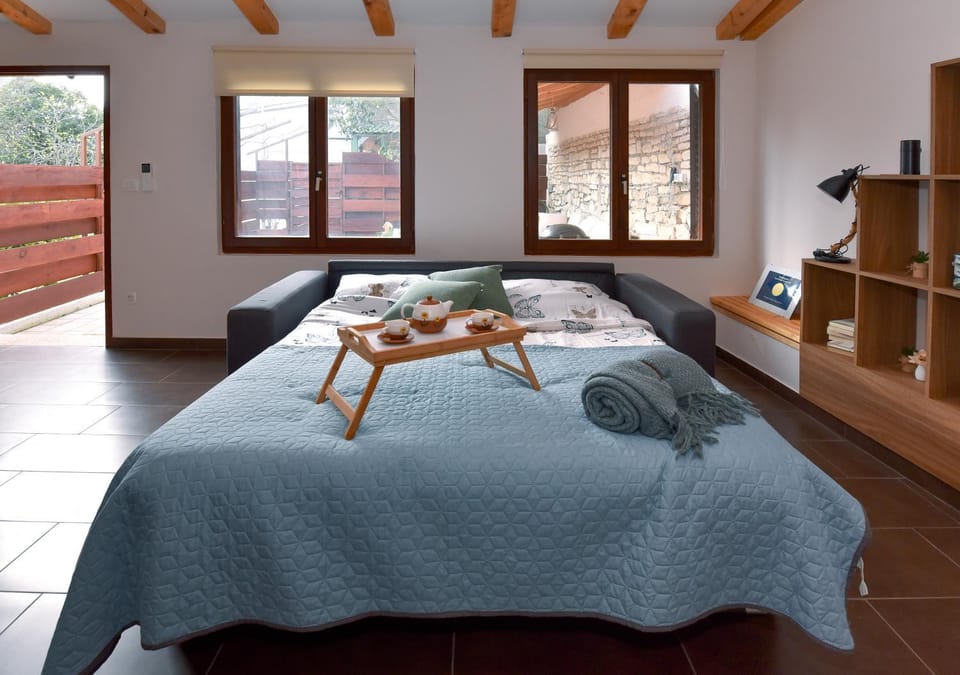 Vintage Garden Apartment Apartment in Pula