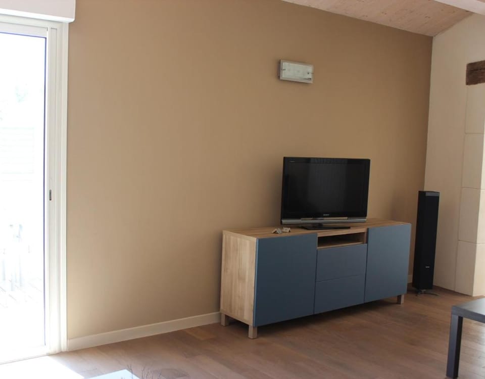 TV and multimedia