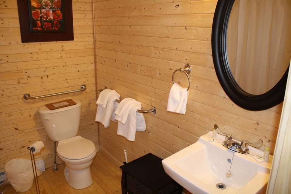 Shower, Toilet, Bathroom, Facility for disabled guests