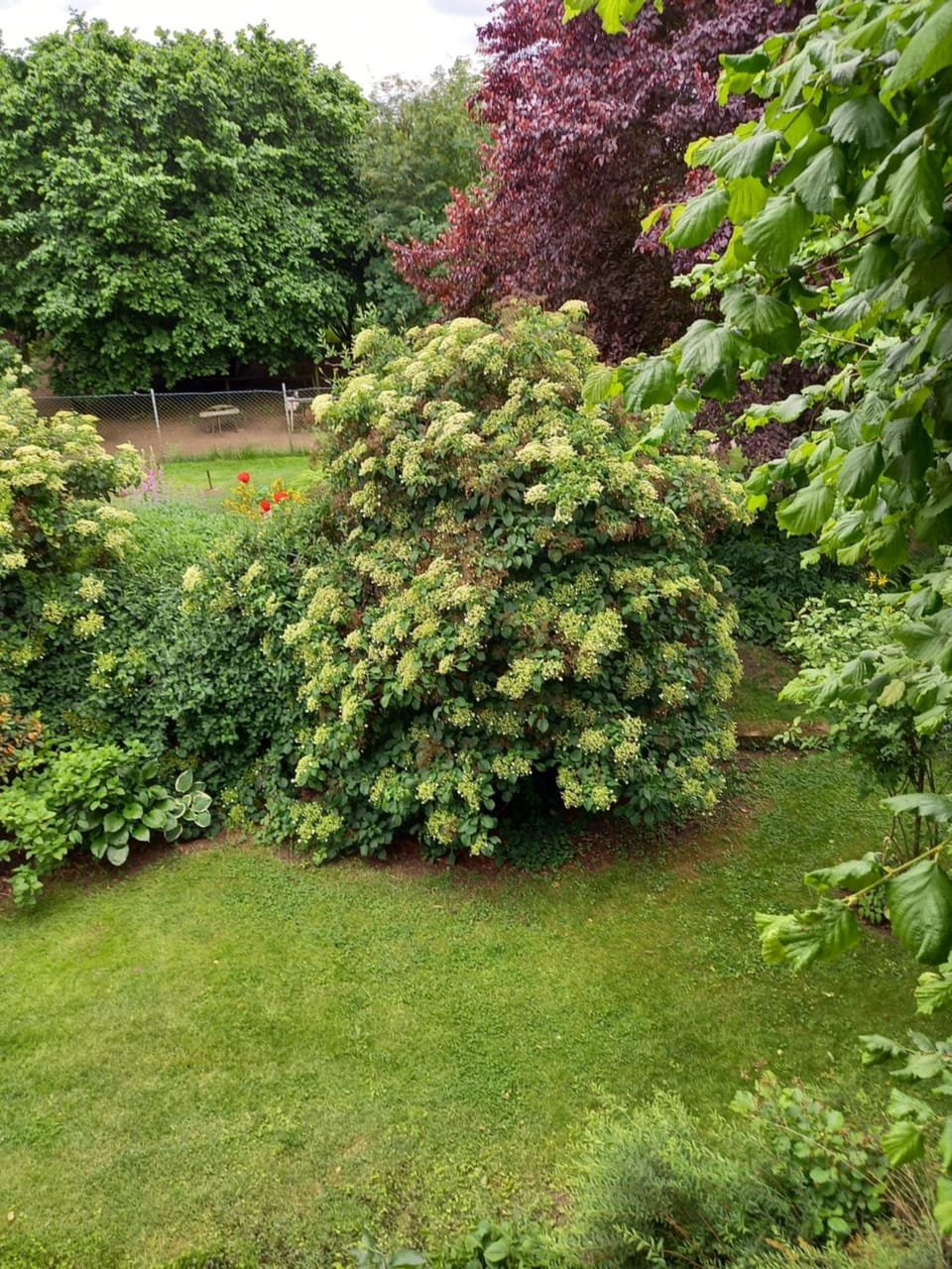 Day, Garden, Garden view