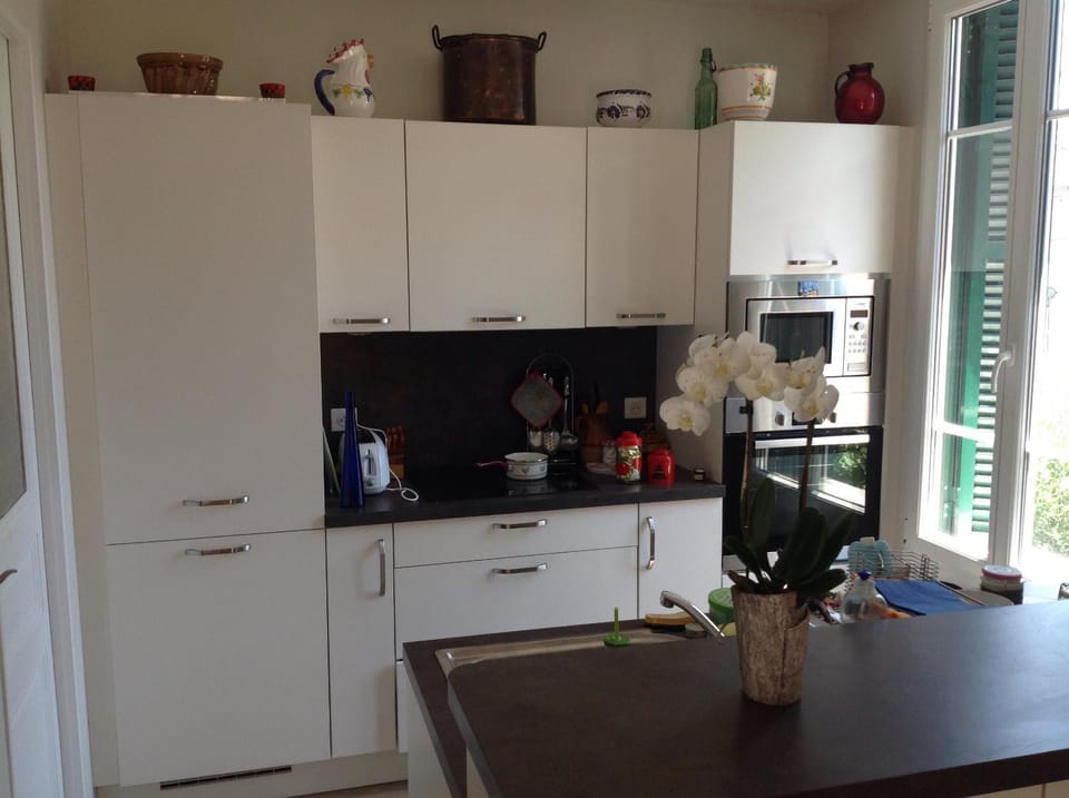 Kitchen or kitchenette, oven, stove