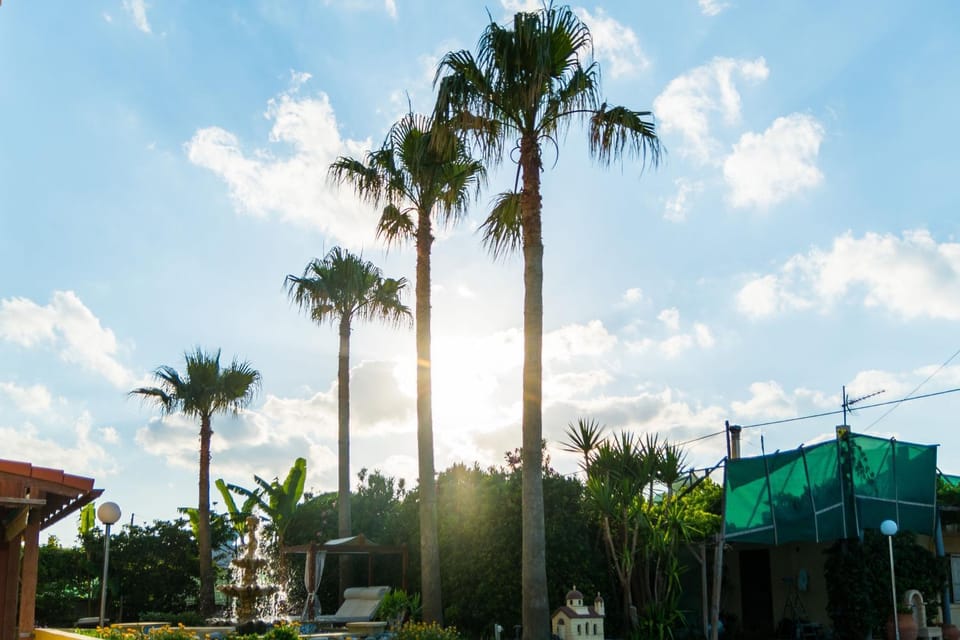 View (from property/room), Sunset