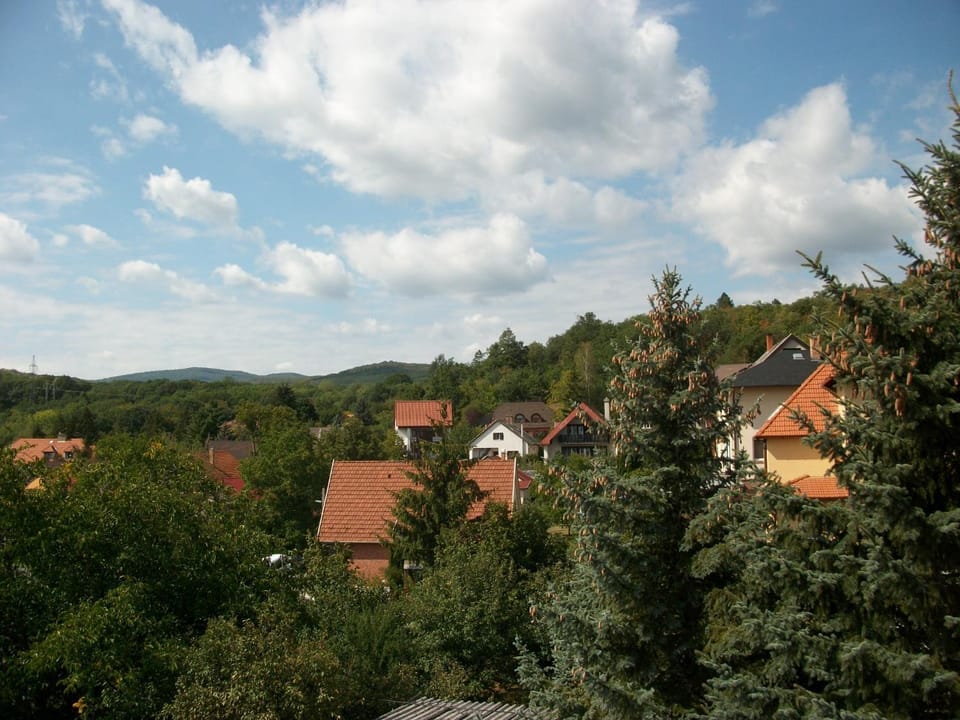 Natural landscape