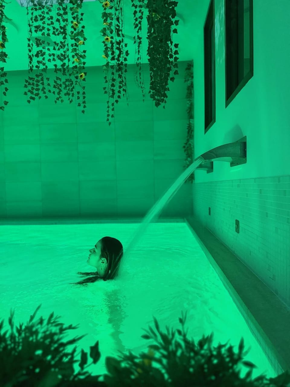 Spa and wellness centre/facilities, Swimming pool