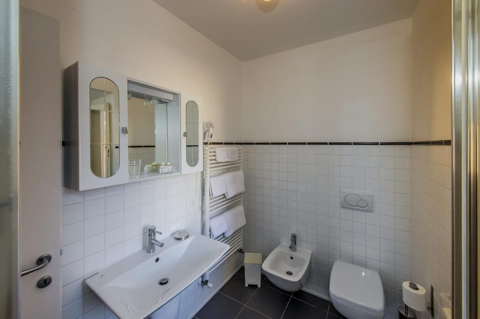 Shower, Toilet, Bathroom, bidet, towels