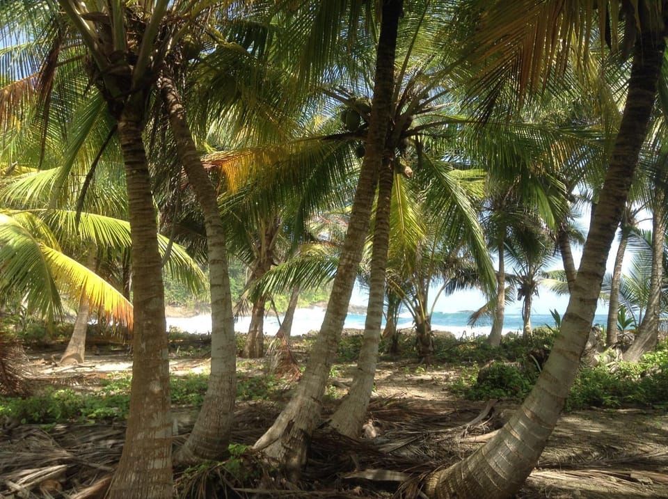 Hostal El Chileno Sapzurro Campground/ 
RV Resort in Choco, Colombia
