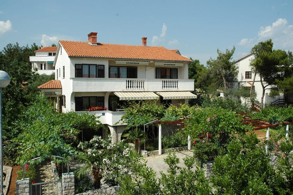 Property building, Day