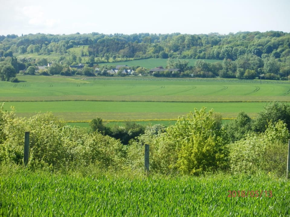 Natural landscape