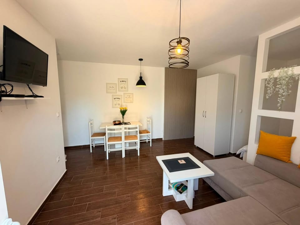 Apartments Tina Apartment in Ulcinj Municipality