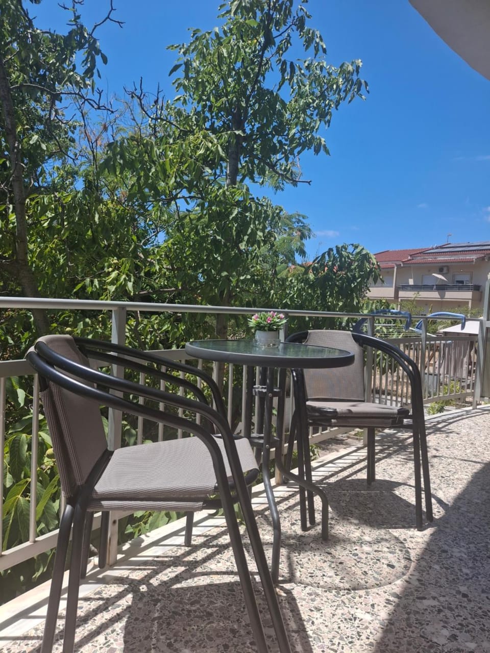 Aurora Apartment hotel in Thasos