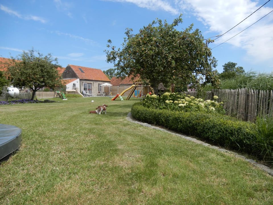 Property building, Garden