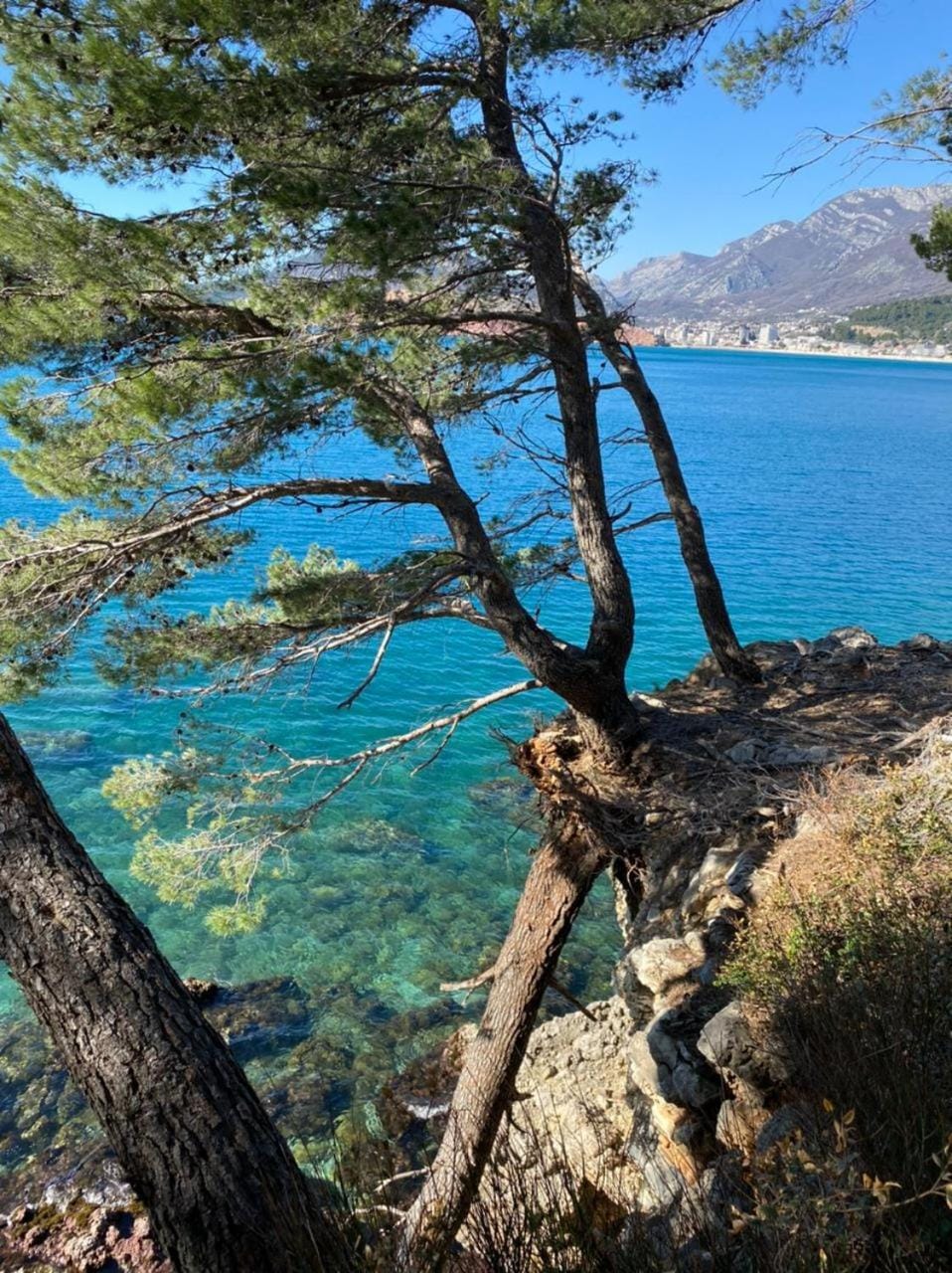 Villa Casa Mia Apartment hotel in Montenegro