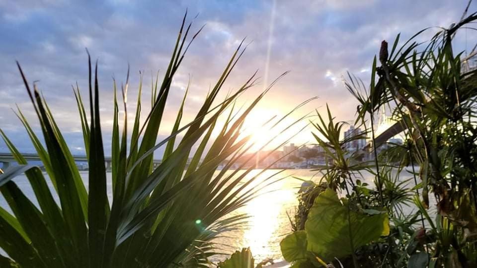 Patio, Patio, Spring, Day, Natural landscape, Activities, Place of worship, Garden, Garden, Beach, Guests, Sea view, Sea view, Sunrise, Sunset