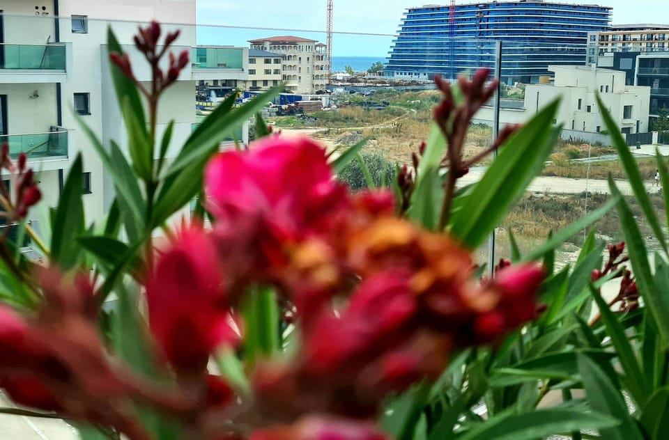 Mamaia Nord Residence Apartment in Constanța County