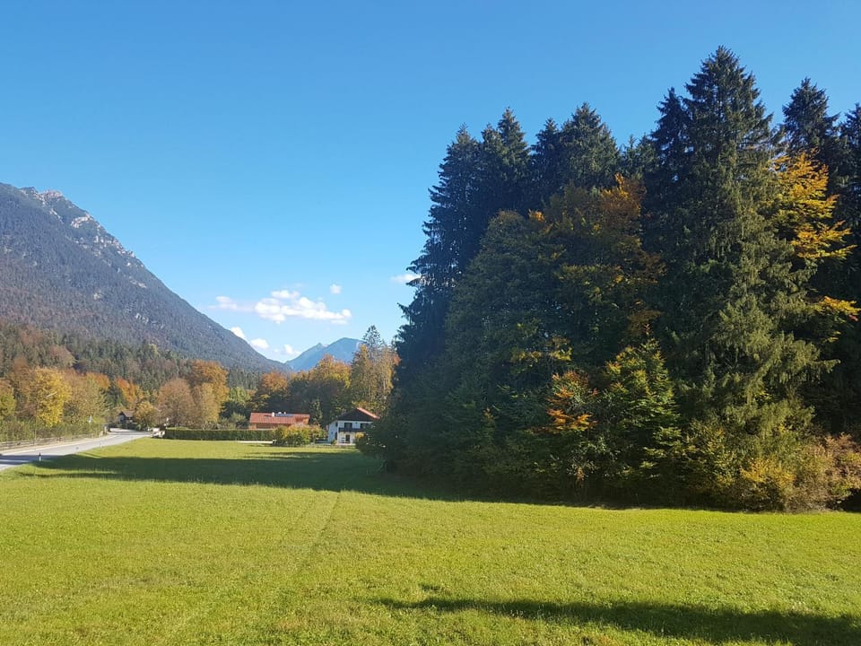 View (from property/room)
