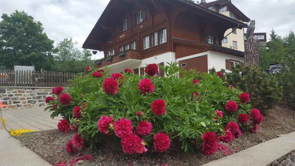 Chalet Waldperle Apartment in Arosa