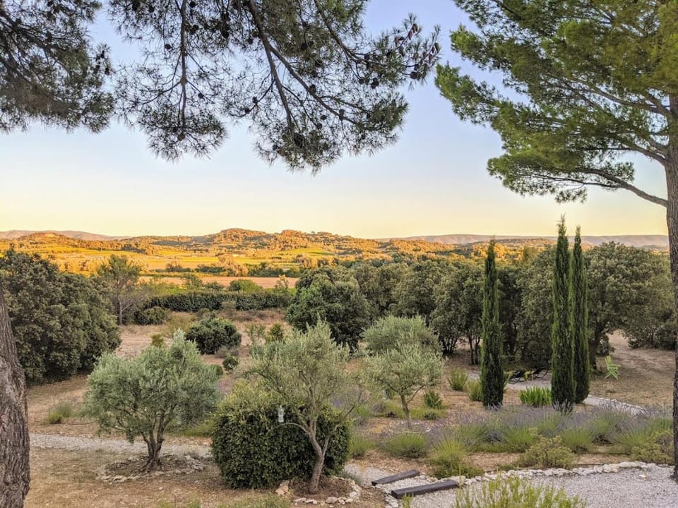 Natural landscape, Garden view, Sunset