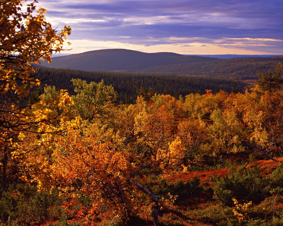 Mountain view