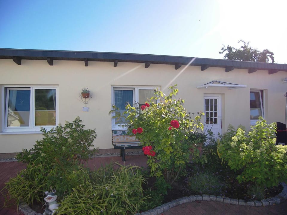 Property building, Garden, Garden view