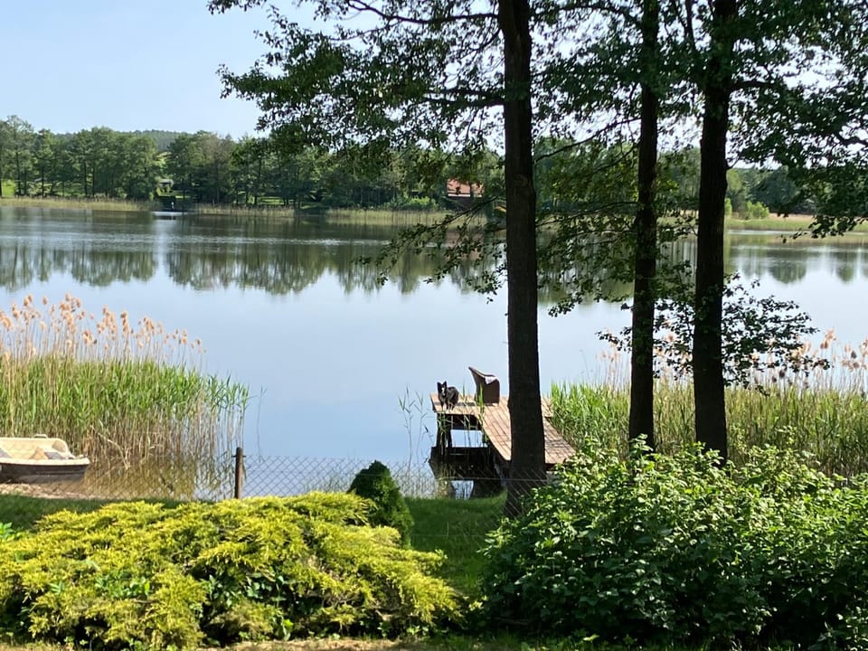 Lake view