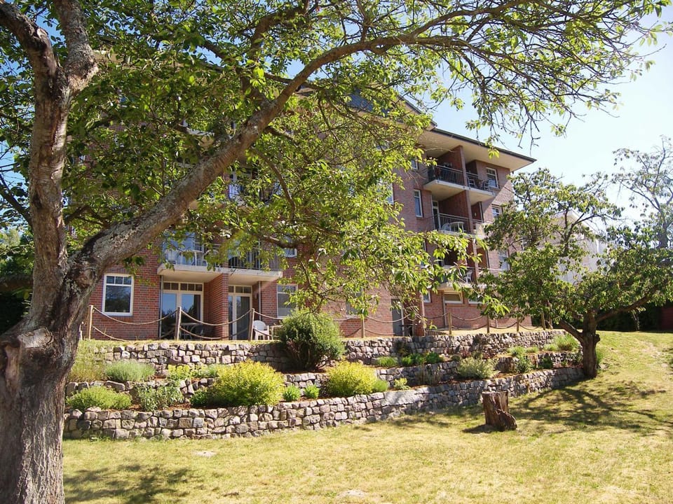 Property building, Garden view
