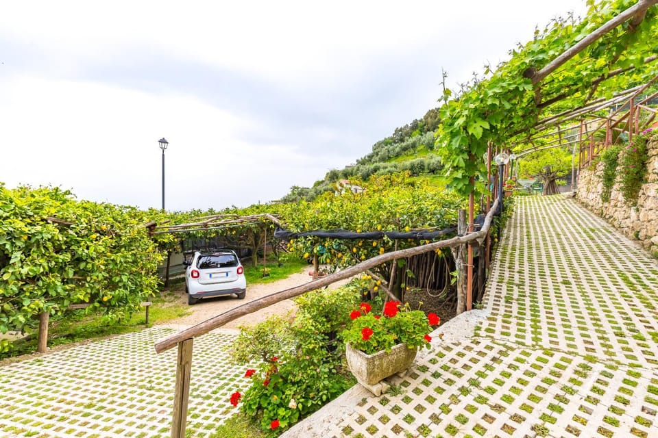 Spring, Day, Garden, Parking