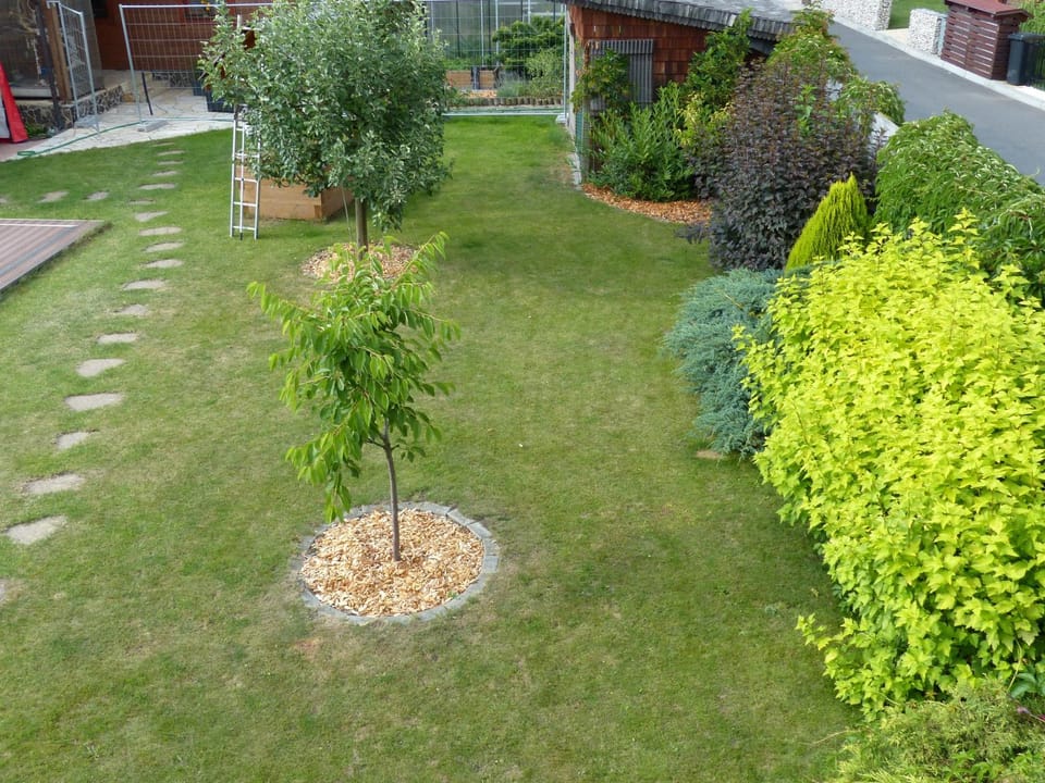 Property building, Other, Garden view