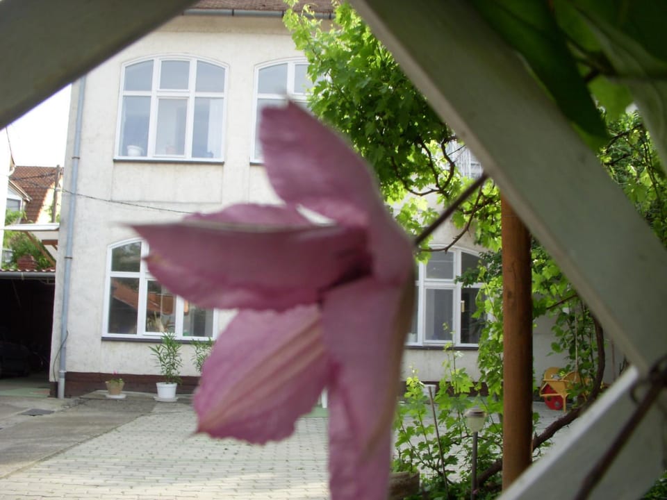 Property building, Garden view, Area and facilities