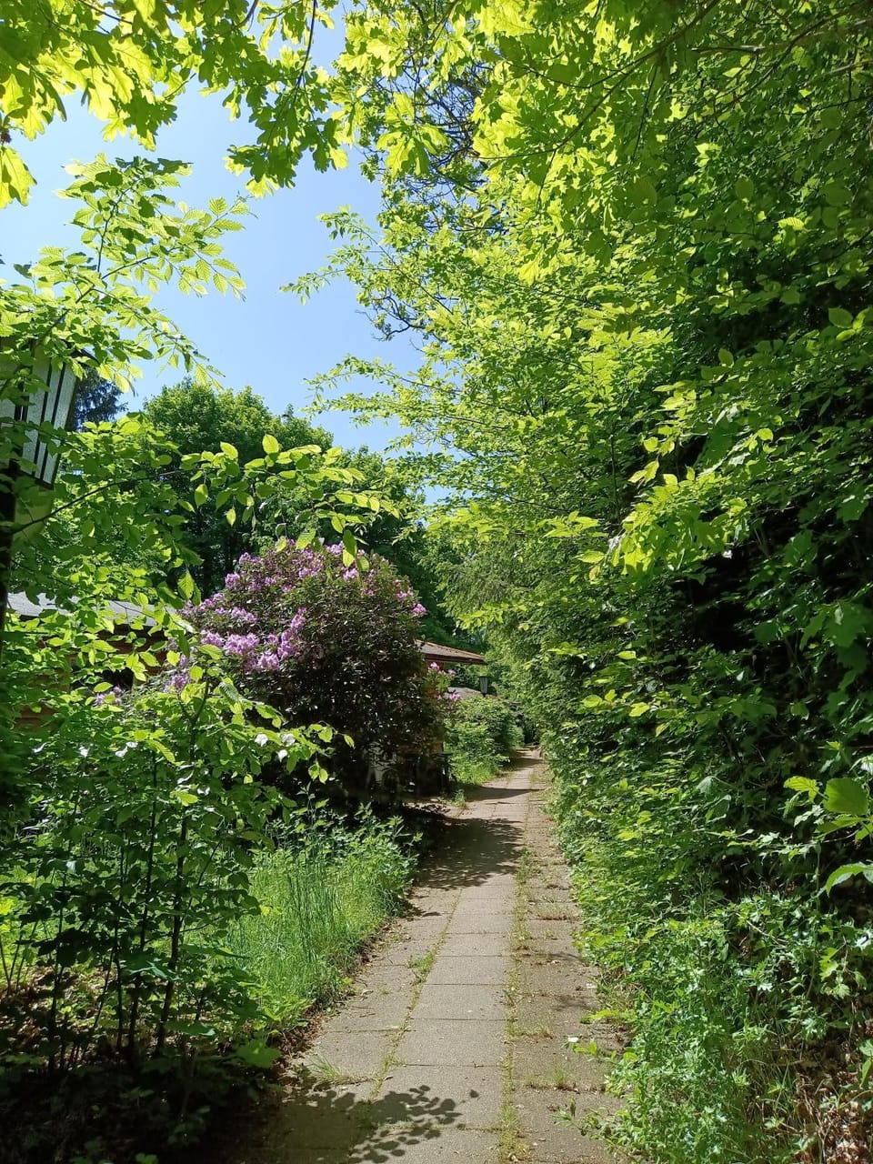 Ferienpark Sonnenhof Campground/ 
RV Resort in Thuringia, Germany
