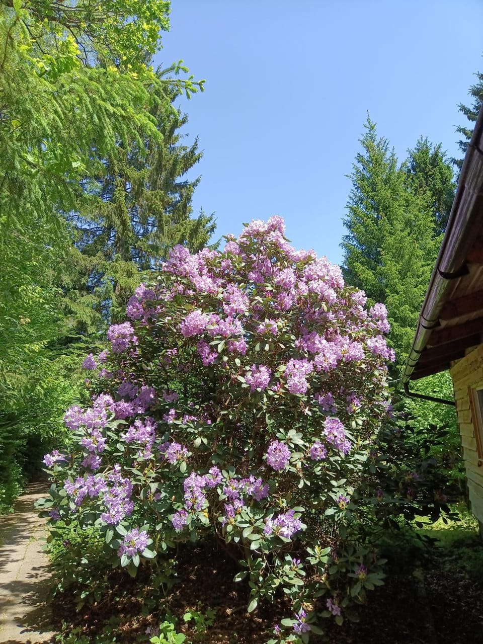 Ferienpark Sonnenhof Campground/ 
RV Resort in Thuringia, Germany