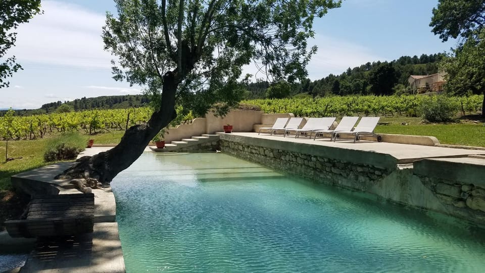 Natural landscape, Swimming pool, Swimming pool