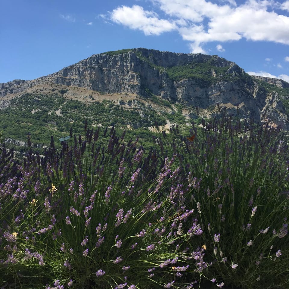 Natural landscape