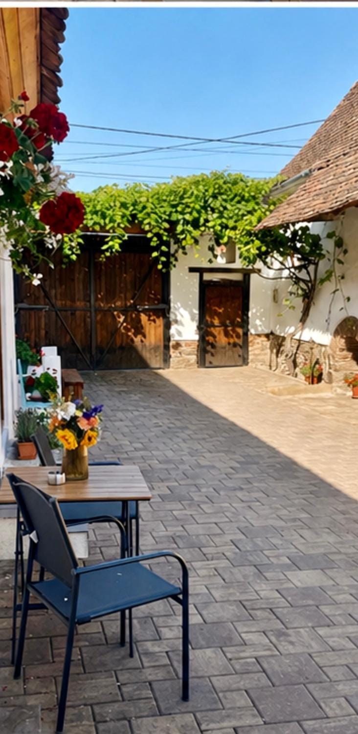 Pensiune Family & Friends Crit 168 Bed and Breakfast in Brașov County