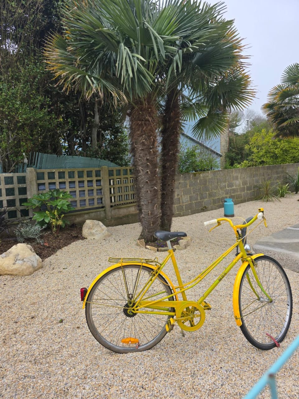 Garden, Garden view, Garden view