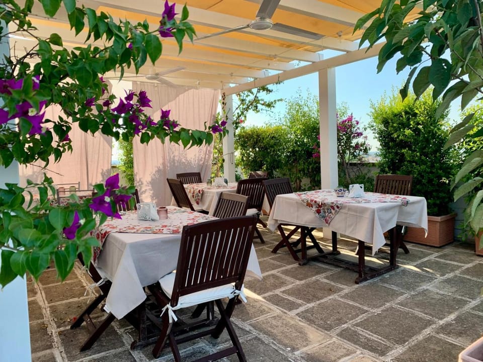 Balcony/Terrace, Breakfast