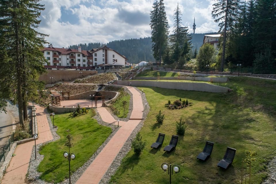 Bird's eye view, Garden, Garden view