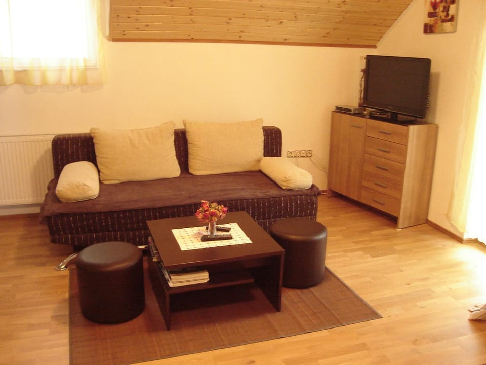 TV and multimedia, Living room