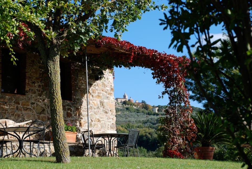 Patio, Day, Garden, Area and facilities